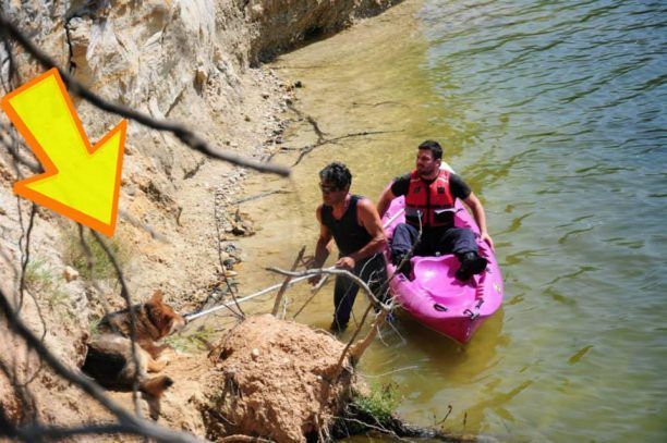 Φλώρινα: Έσωσαν τον σκύλο που εγκλωβίστηκε στη λίμνη